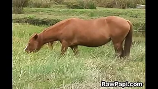 4248 gay bareback porn videos